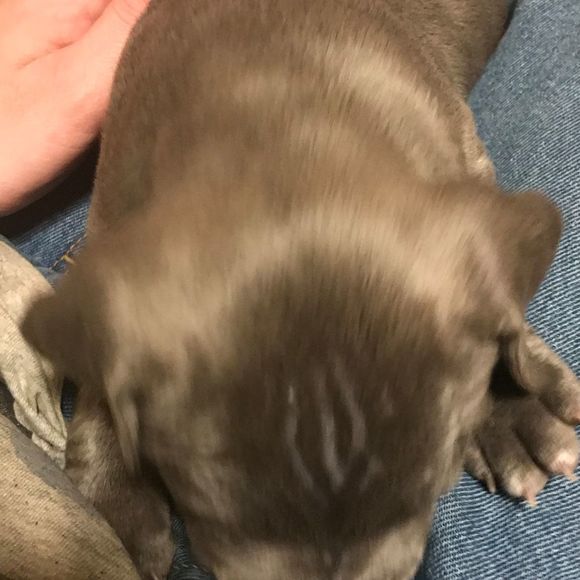 Meet your Posher, James - Picture 1 of 1